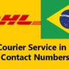 DHL Courier Service in Brazil Contact Numbers